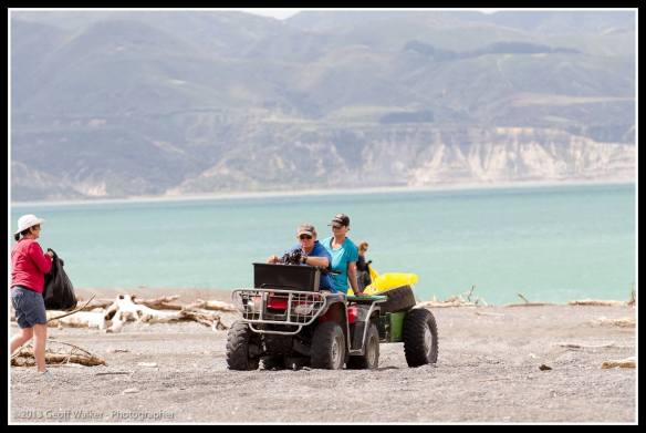 Trash and tyre collectors